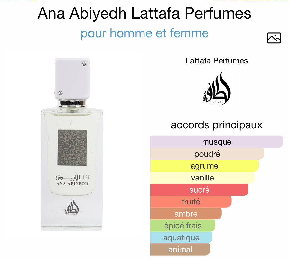 Parfum Mixte Ana Abiyedh