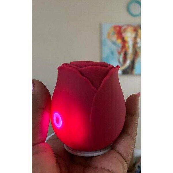 Double Rabbit Strong Vibrator