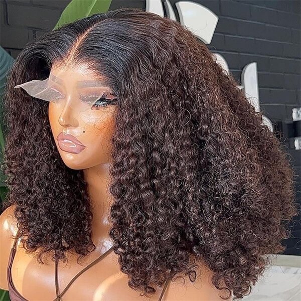 Glueless Wig Curly Human Hair