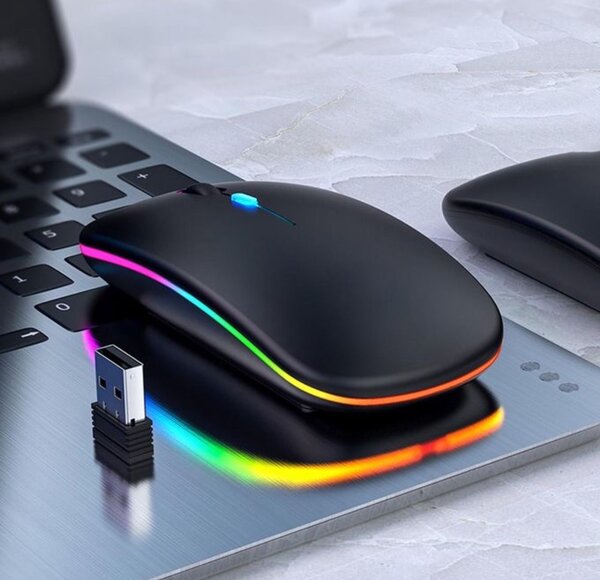Souris sans fil RVB ergonomique