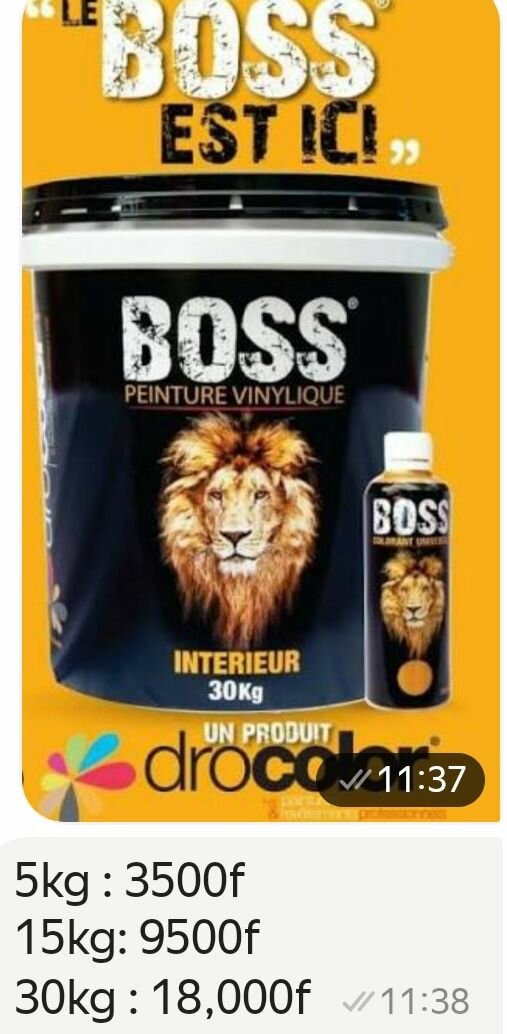 Peinture Vinyle Boss 30kg