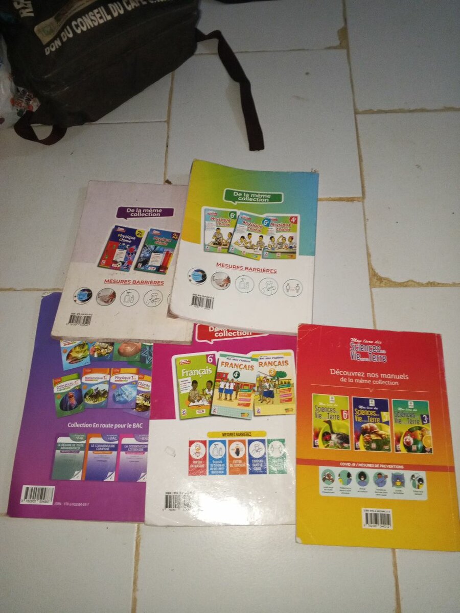 Lot de manuels scolaires divers
