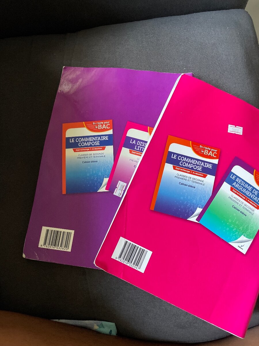 Cahiers de Révision Bac