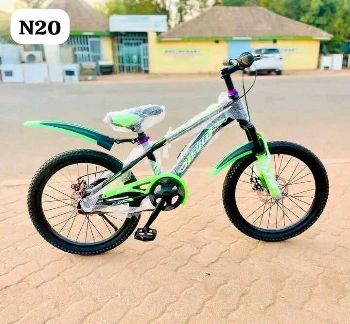 Vélo Enfant 20 Pouces