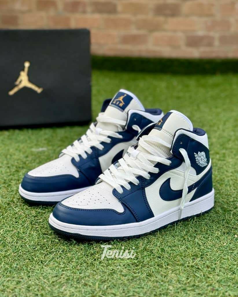 Nike Jordan 1 montante