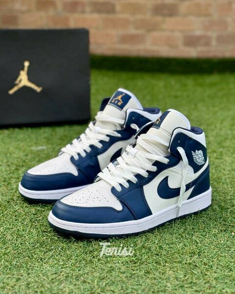 Nike Jordan 1 montante