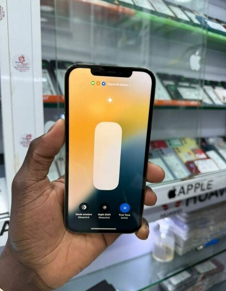 iPhone 12 Pro Max 256GB