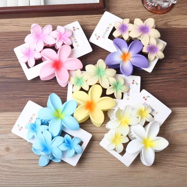 Pince Cheveux Fleur Colorée