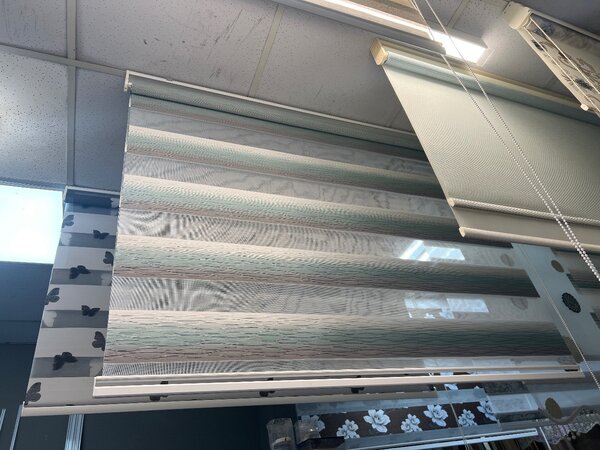 зебра(день и ночь)