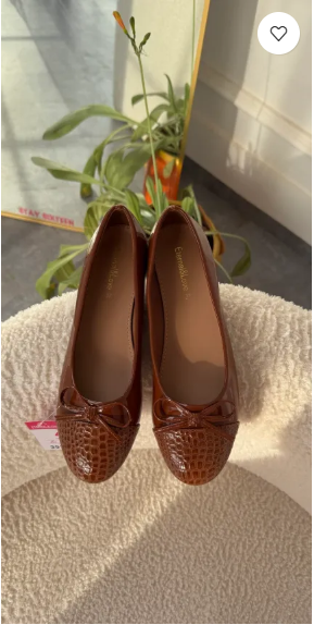 Avani brown flat shoes
