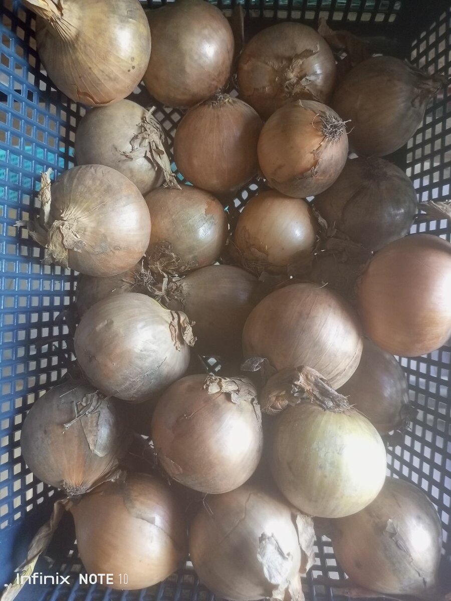 Oignon, Mangin sec, pâte d'arachide