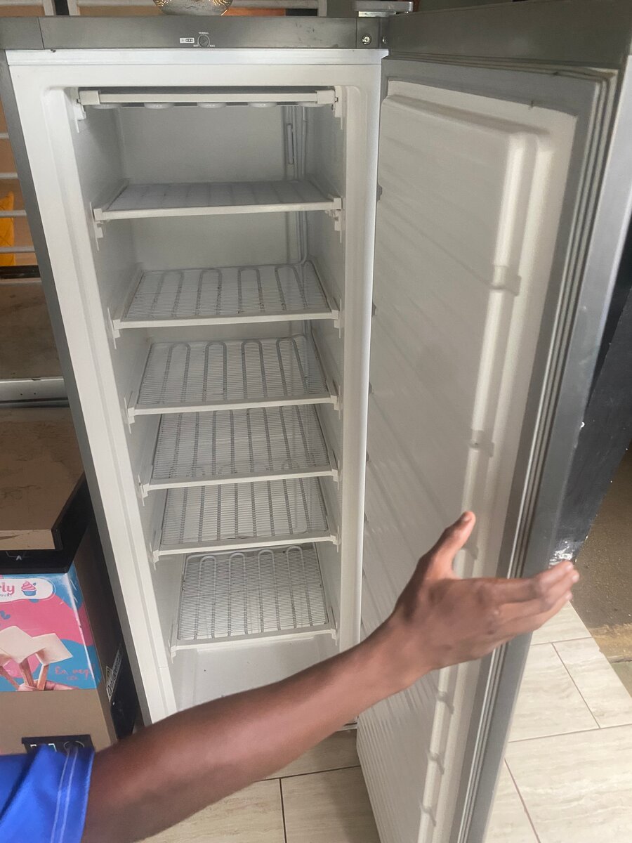 Congélateur vertical argenté