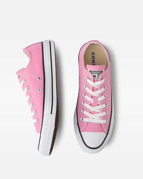 Converse All Star Rose