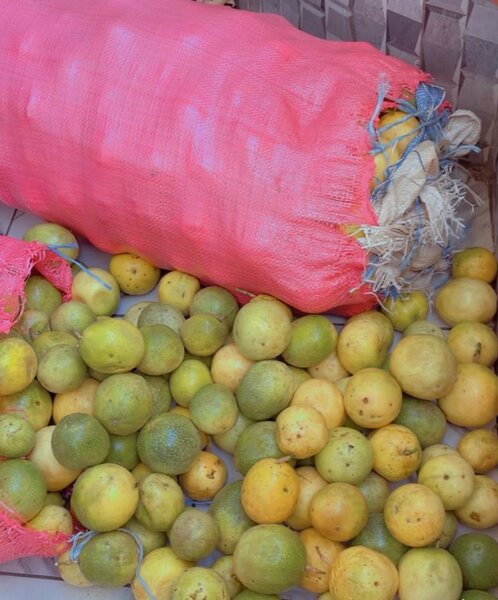 Fruits passion 10 kilos