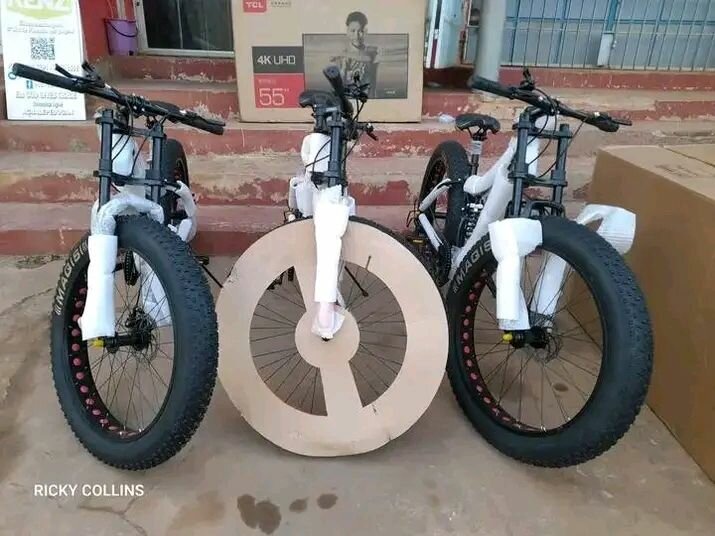 Vélo Fat Bike Tout Terrain