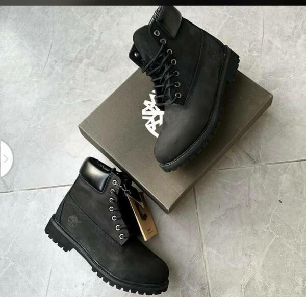 Chaussure Homme Timberland