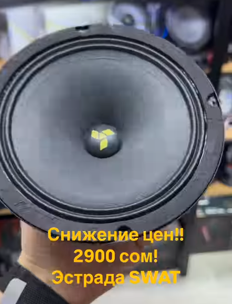 Широкополосная акустическая система SWAT SP-H6v2