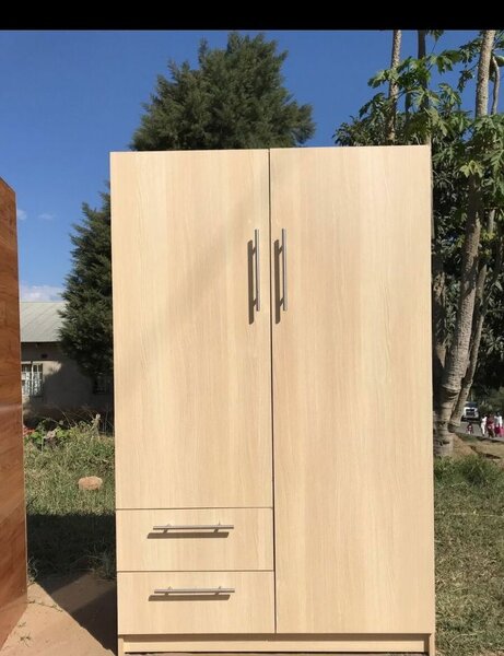 Armoire en bois clair 2 portes
