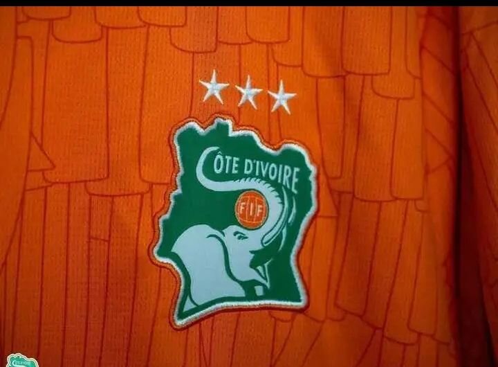 Maillot Côte d'Ivoire Puma