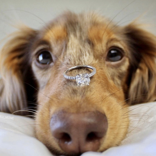 Cute diamond zircon promise /engagement ring (Free Case)