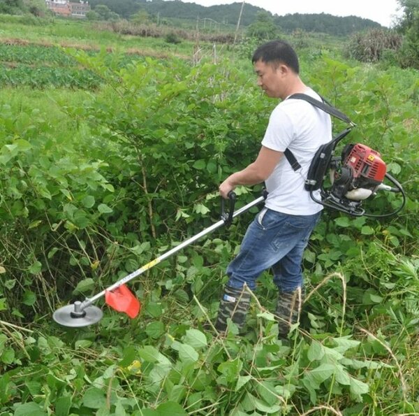 Débroussailleuse Puissante Portable