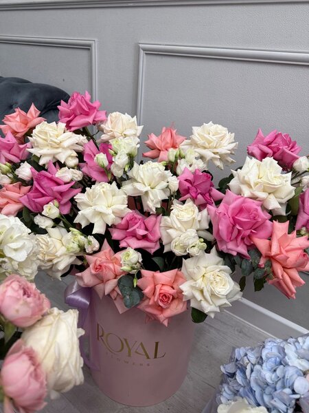 Цветы после др, продам себесто