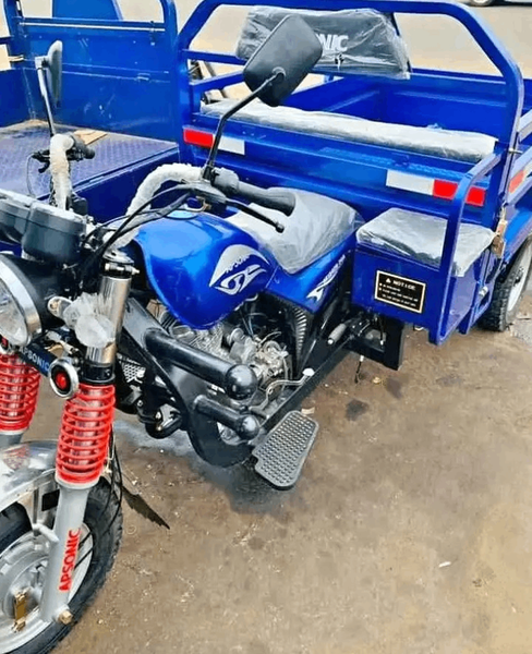 Tricycle Cargo Électrique