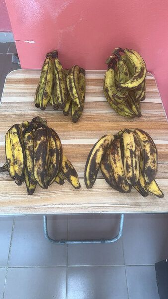 Bananes plantains fraîches