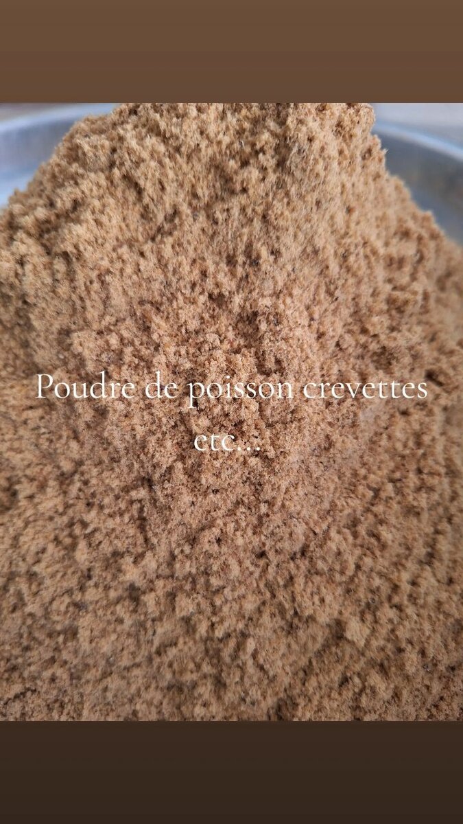 Mélange Poissons Crevettes