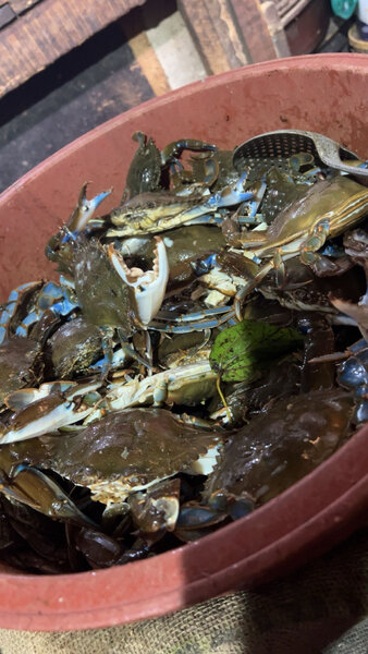 Crabes et Crevettes Frais