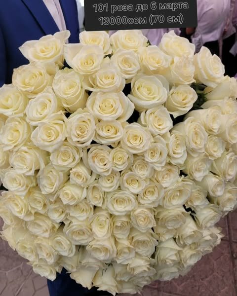 101 роза 70 см