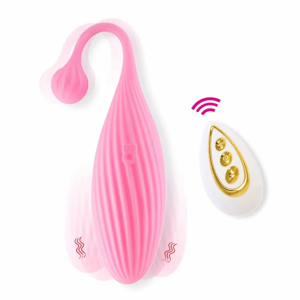 Œuf télécommande