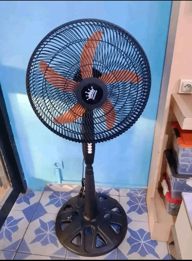 Ventilateur sur pied robuste noir