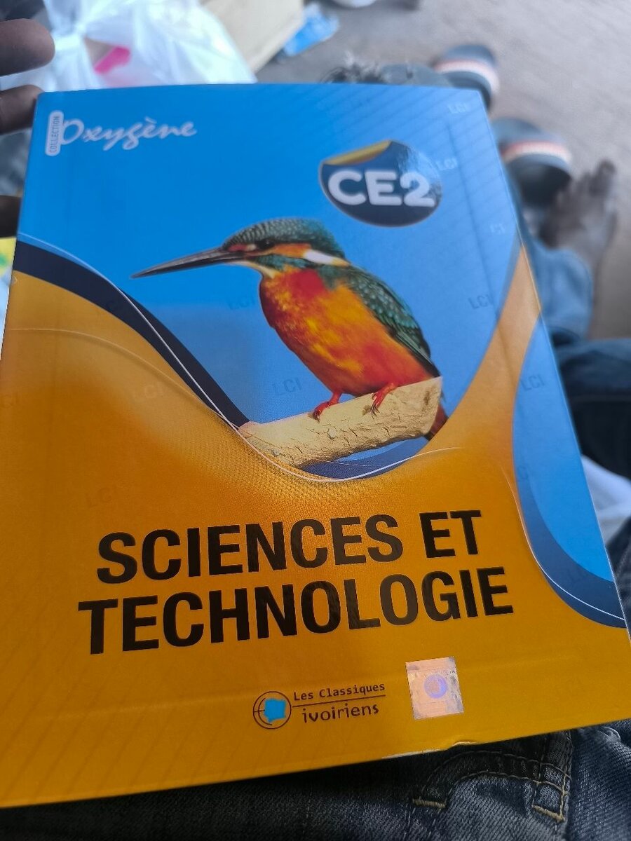 Livre de Mathématiques CM1