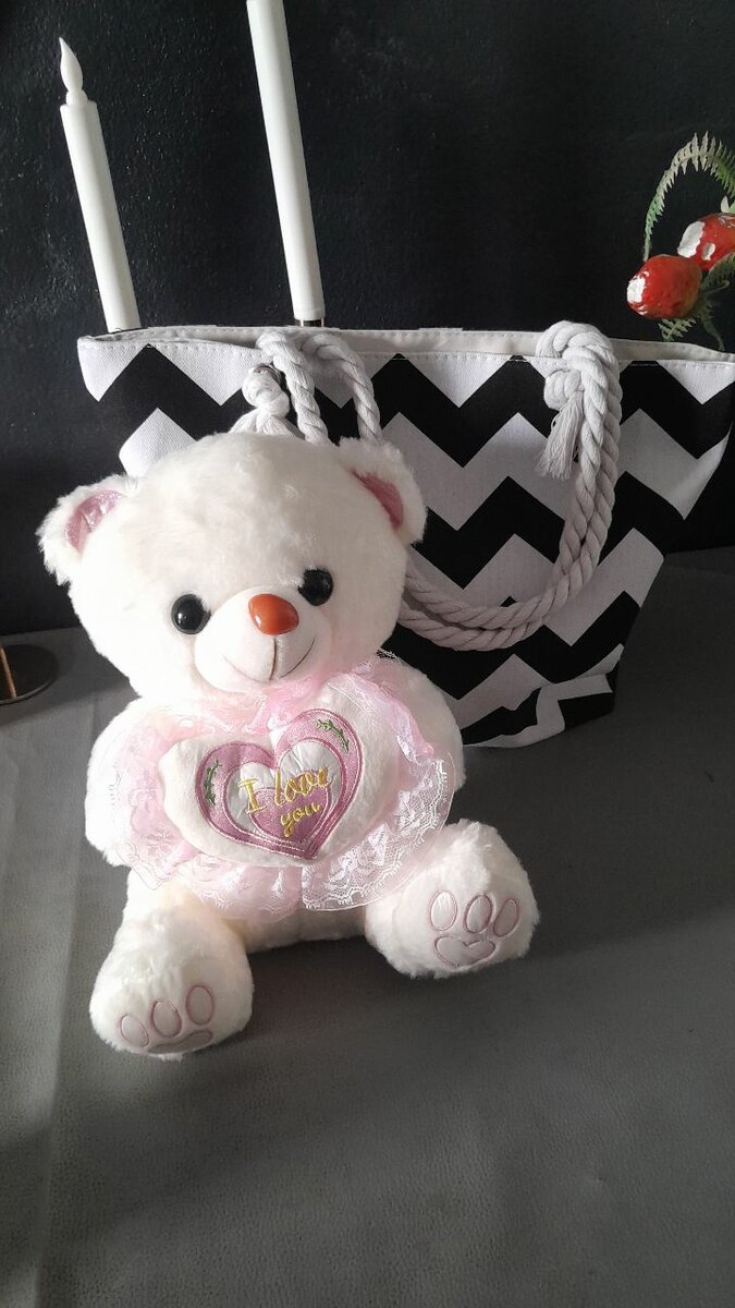 Ours en peluche +sac ankara