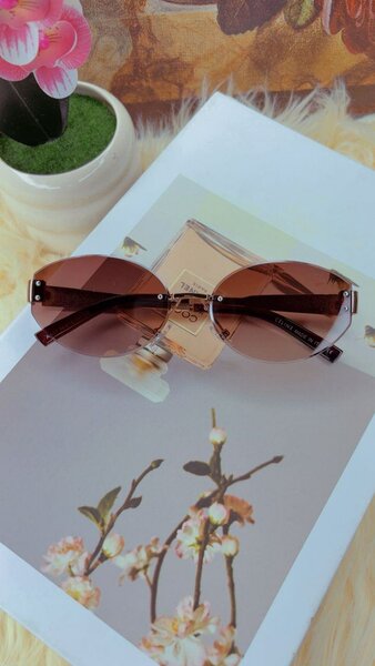 Lunettes de soleil élégantes