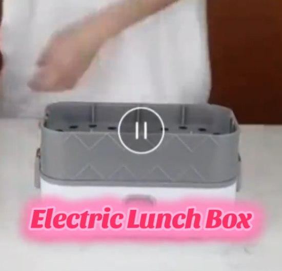 Double layer electric lunch box