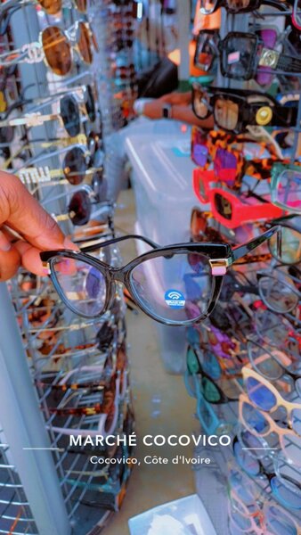 Lunettes de Soleil Élégantes