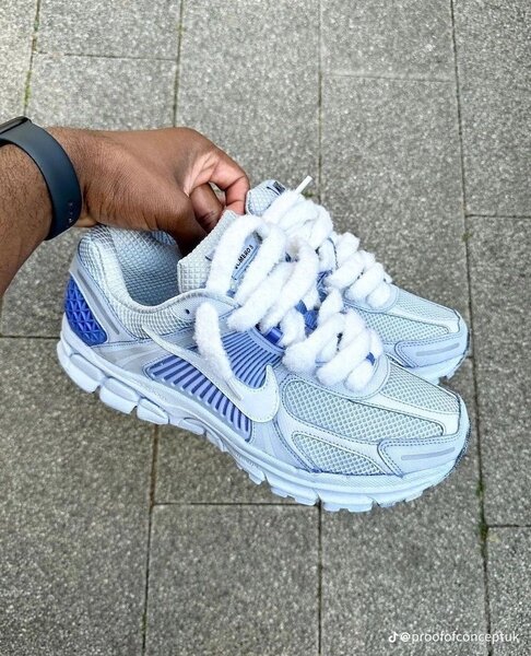 Baskets Nike Air Max élégantes