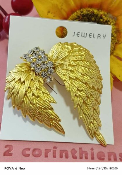 Magnifique Broche VVIP