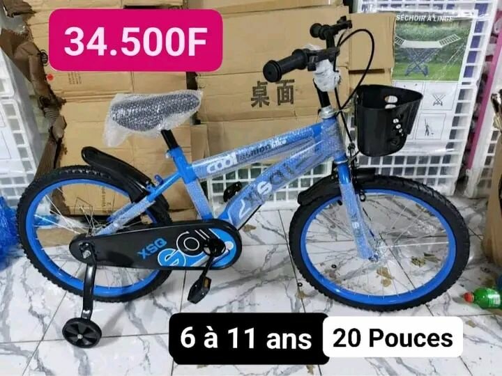 Vélo Enfant 20 Pouces