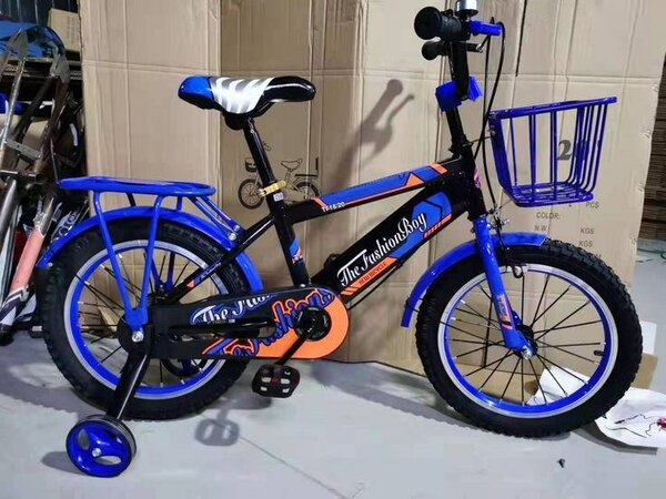 Vélo enfant garçon 16 pouces TheFunclub bleu