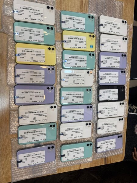 iPhone 11 - Variété de Couleurs