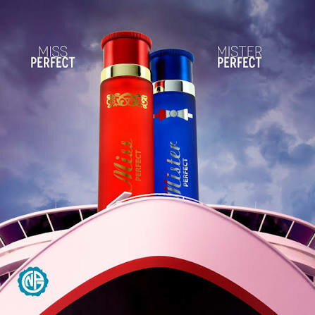 Parfum Mister Perfect Homme