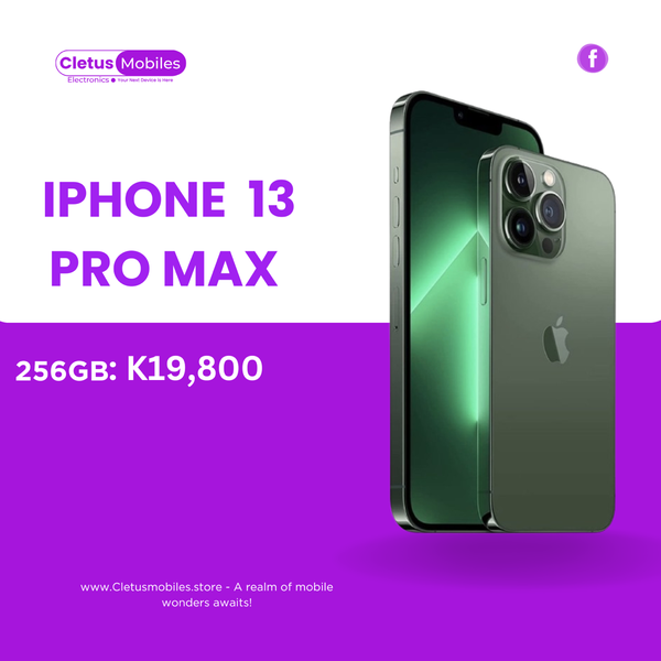 iPhone 13 pro  Max