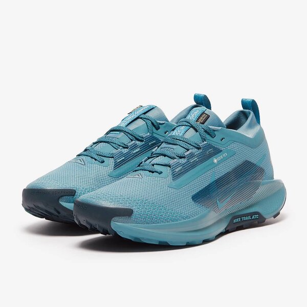 Nike Trail GTX Baskets Bleu