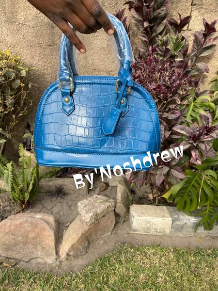 Women's Small LV Bag Blue