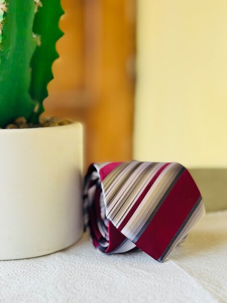 Cravates Élegantes en Soie