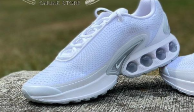 Nike Air Max DN "Metallic White"