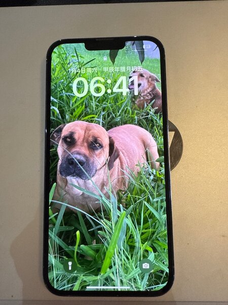 IPhone 13 Pro Max,98new，256GB